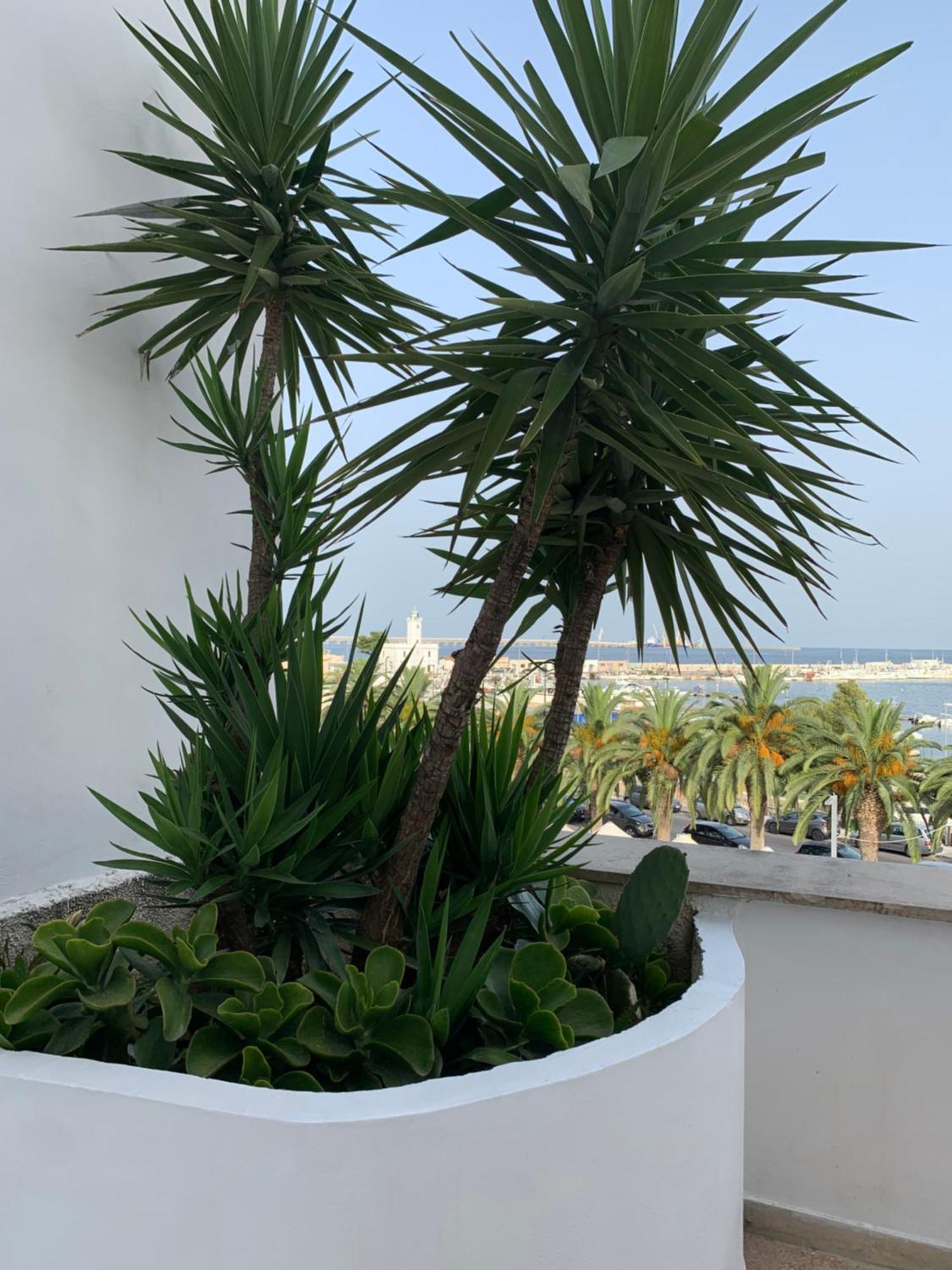 Terrazza Diomede- Manfredi Homes & Villas Манфредония Экстерьер фото